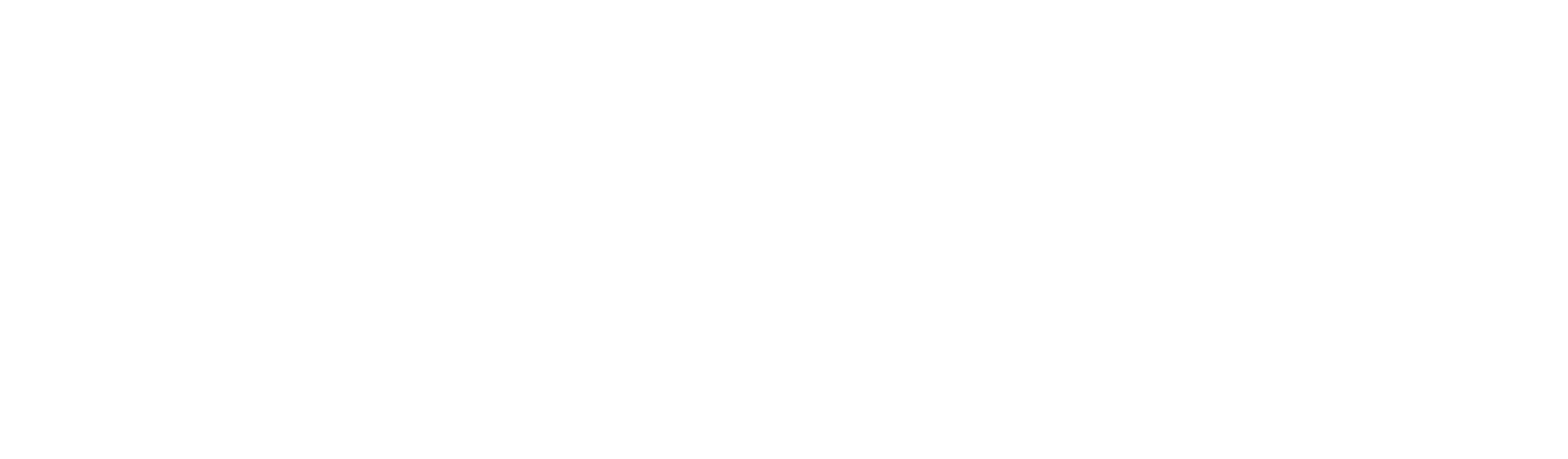 Enviroflex Logo_Reversed